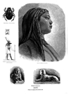 EGIPTO.- CARA DE ESFINGE ACTUAL // ESFINGES DE SERAPEUM // ANUBIS // ESCARABAJO