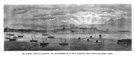 ISLA DE MORRIS, PUERTO DE CHARLESTON.- VISTA DEL CAMPAMENTO DE LAS TROPAS FEDERALES